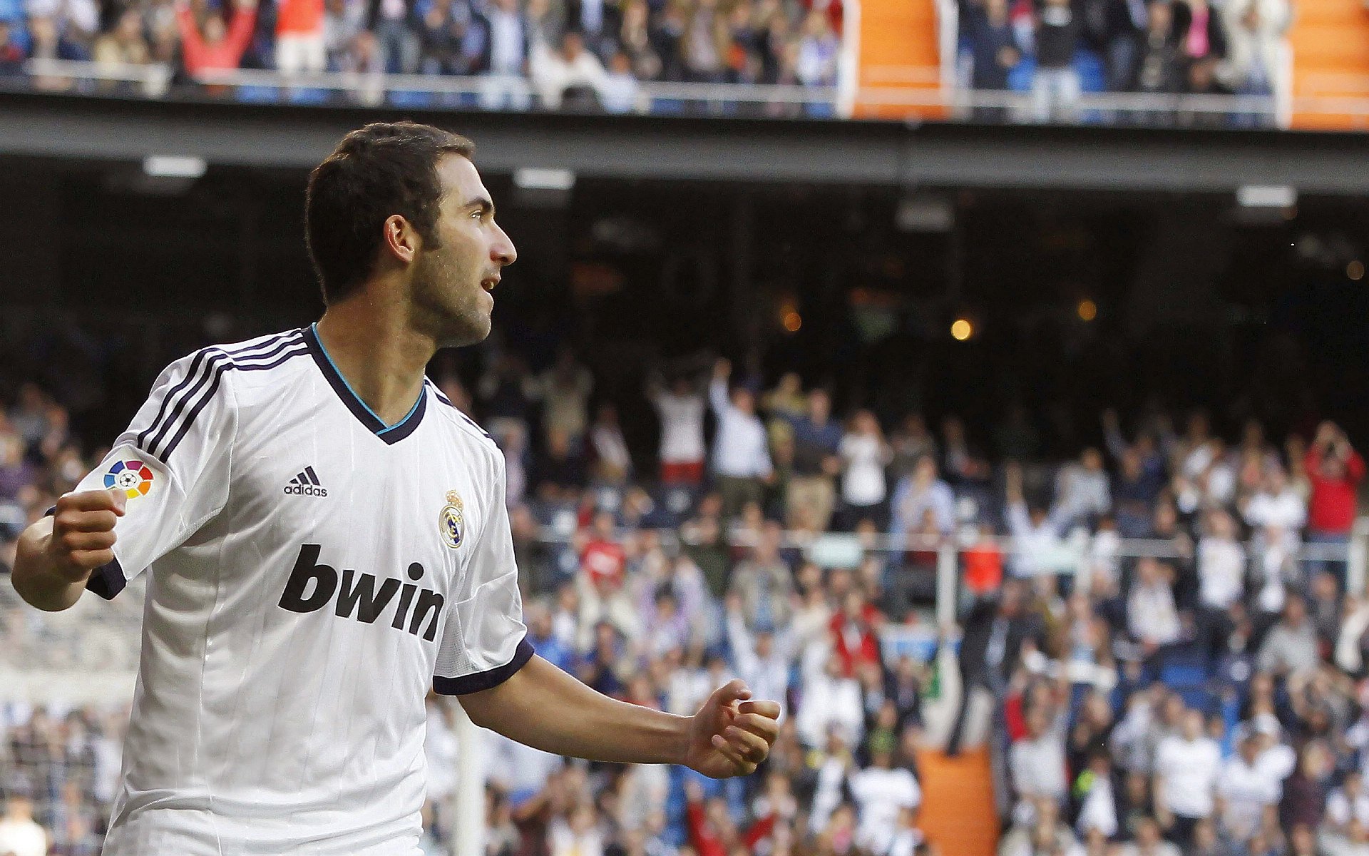 日本马术协会与国际马术联合会合作，举办国际马术交流活动，促进技术交流。